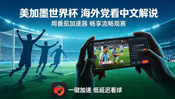 央视频海外版权限制怎么解决？教程